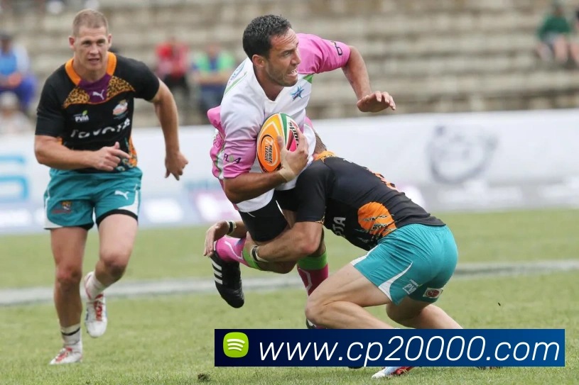 大发彩票平台生态图